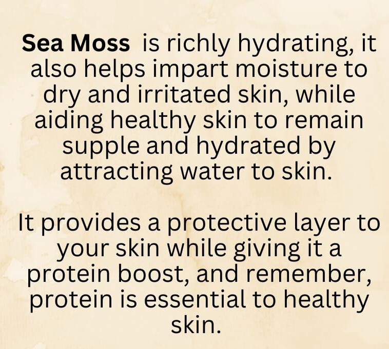 SEA MOSS PEPPERMINT Premium Facial Soap Bar 🌻 4.5 oz. – NEW!