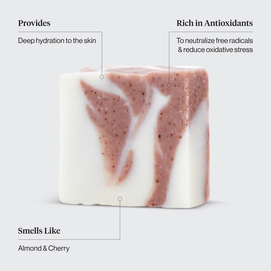 Shea Butter Exfoliating Body Wash Bar Soap – , 4 oz | Hydrating with Vitamin …