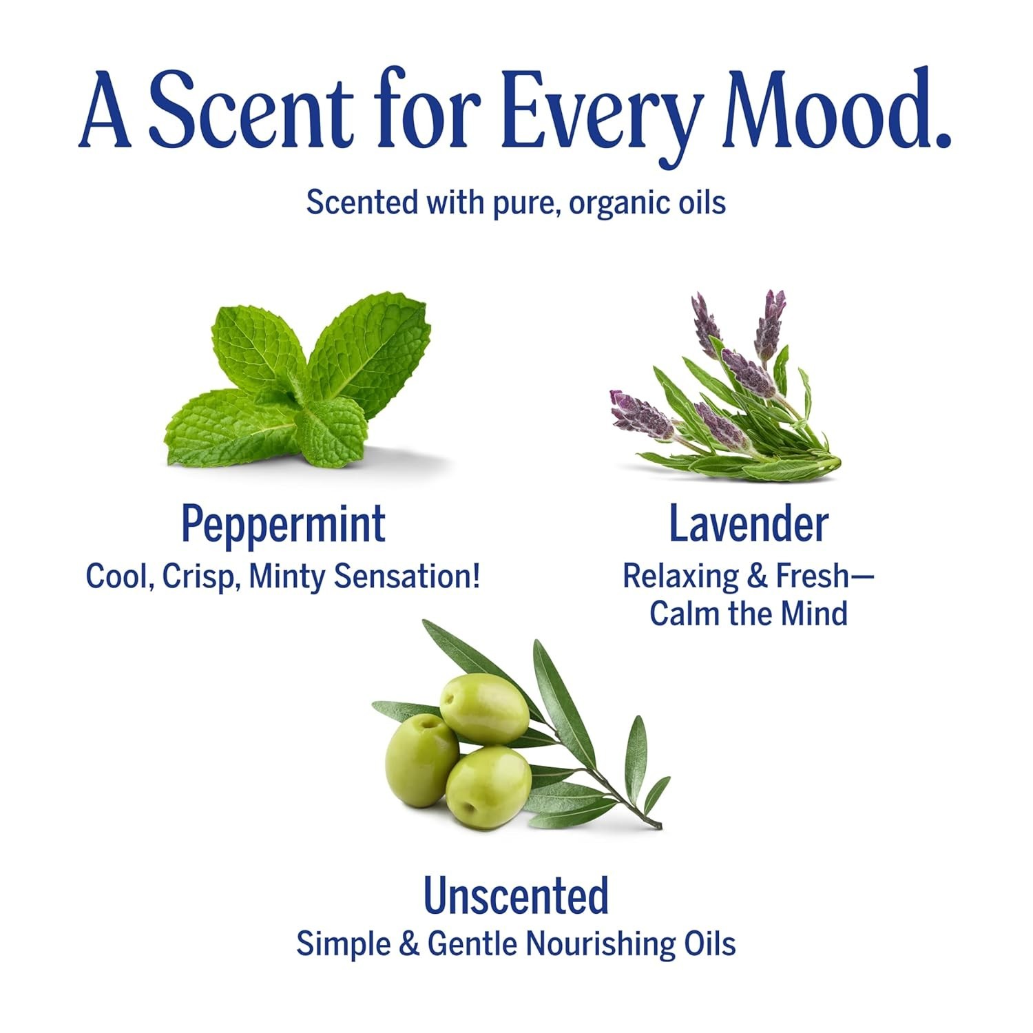 Organic Castile Soap Bars – Pure-Castile Variety Pack for All Skin Types