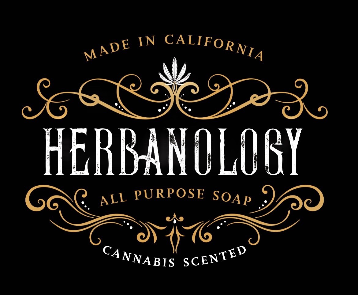 Herbanology 1 Gallon Jack Organic Liquid Castile All Purpose Soap