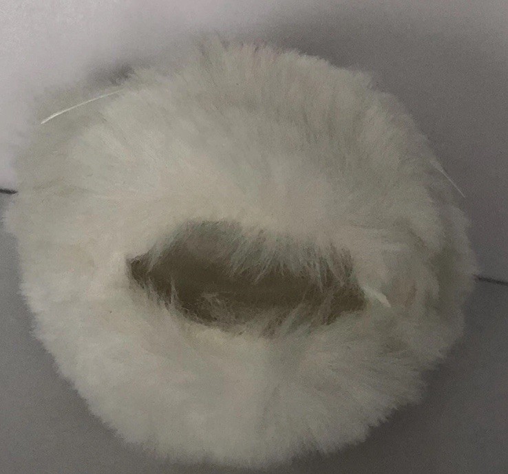 NEW Bunny Pom PB Holder ~HTF~ Bath & Body Works