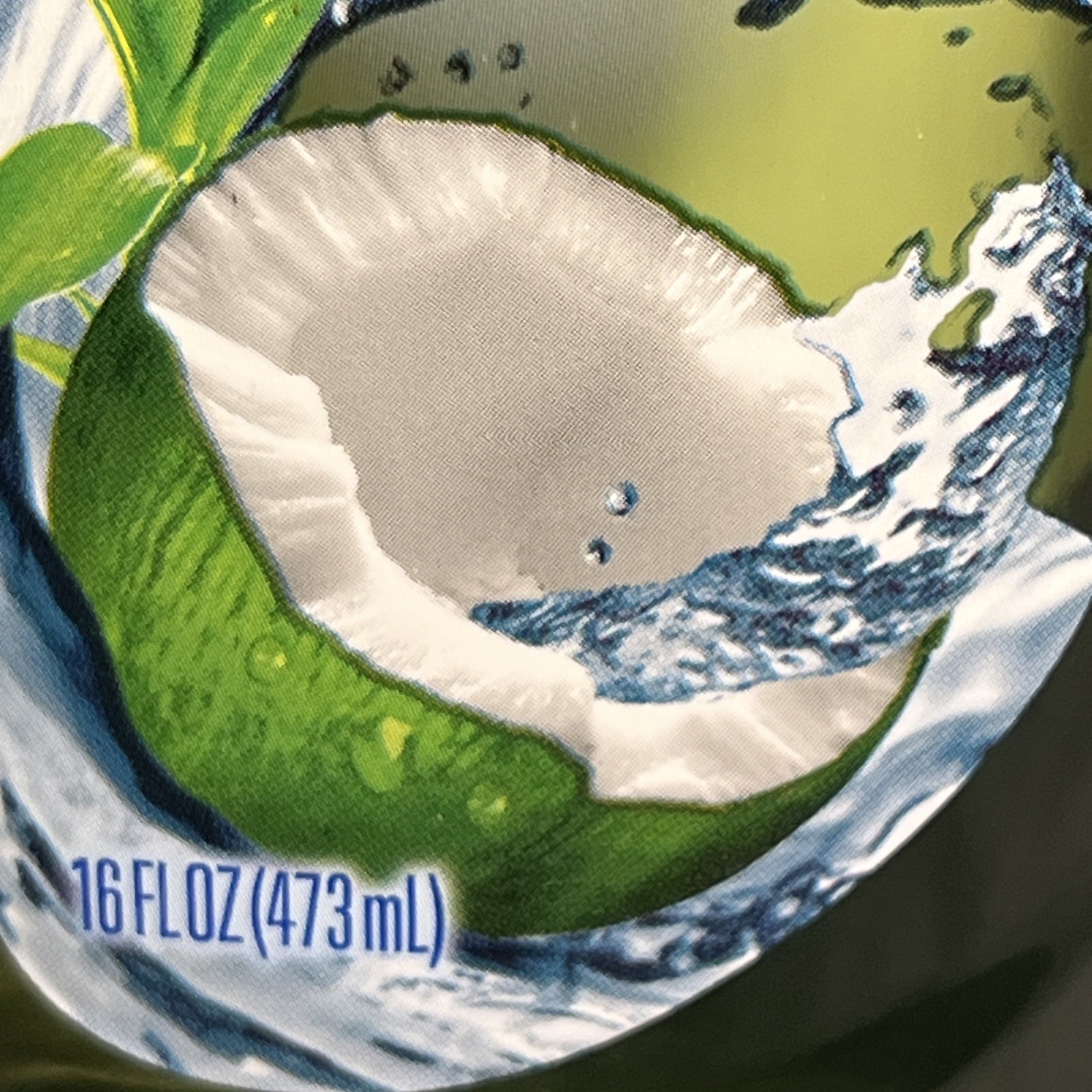 Dial Body Wash Coconut Water (16 oz Bottle)