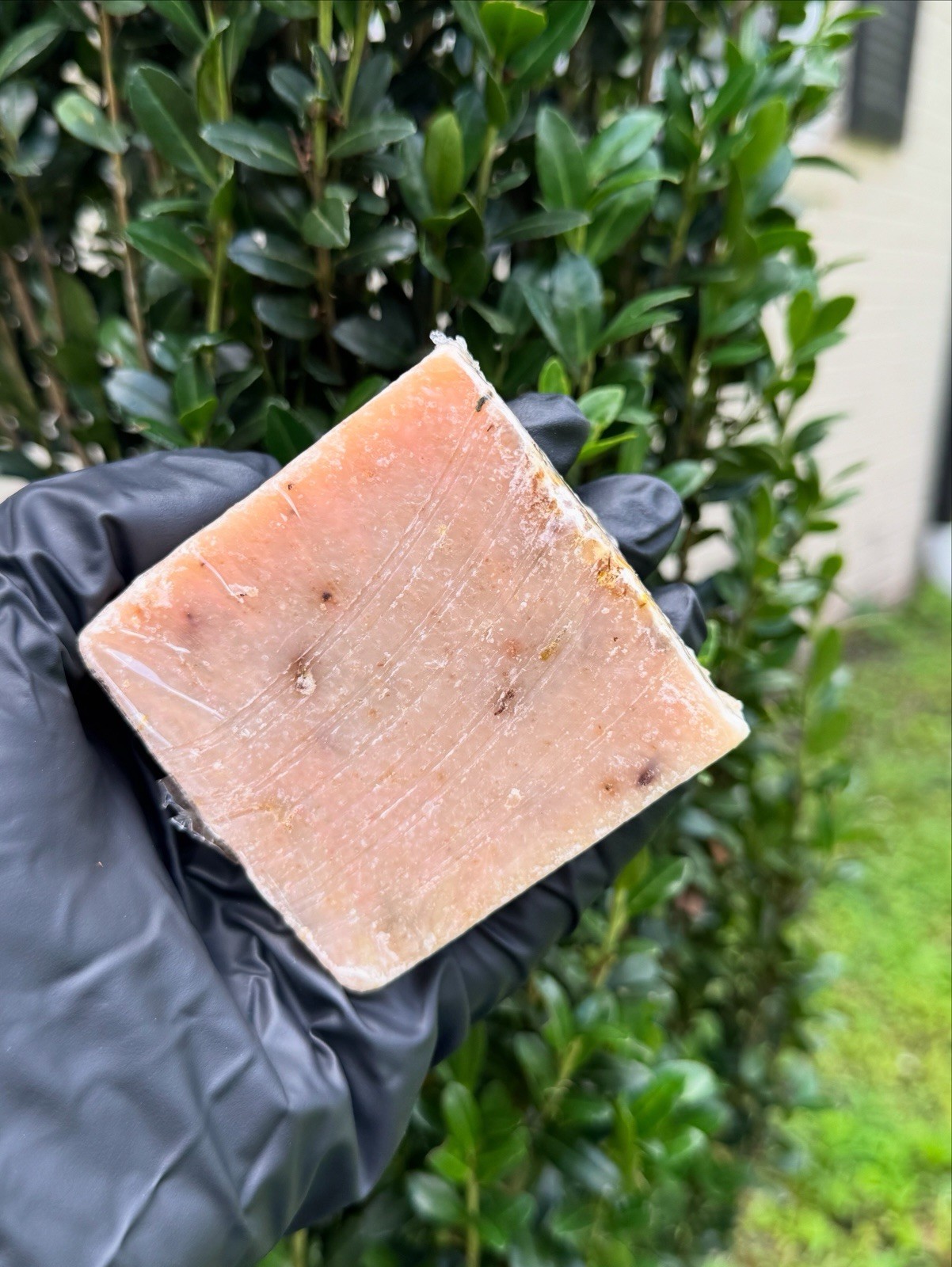 Garlic Lavender Healing Soap For Eczema and sensitive-prone skin