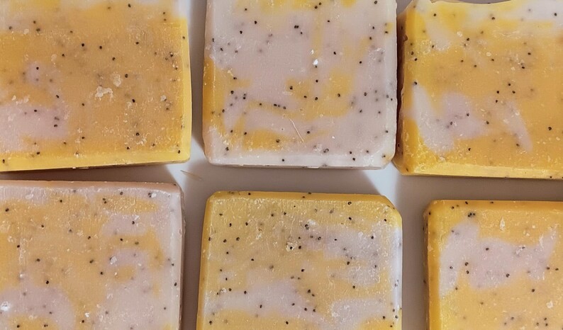 Lemon Poppy Seed Soap | Cold Process Essential Oil Bar | Handmade