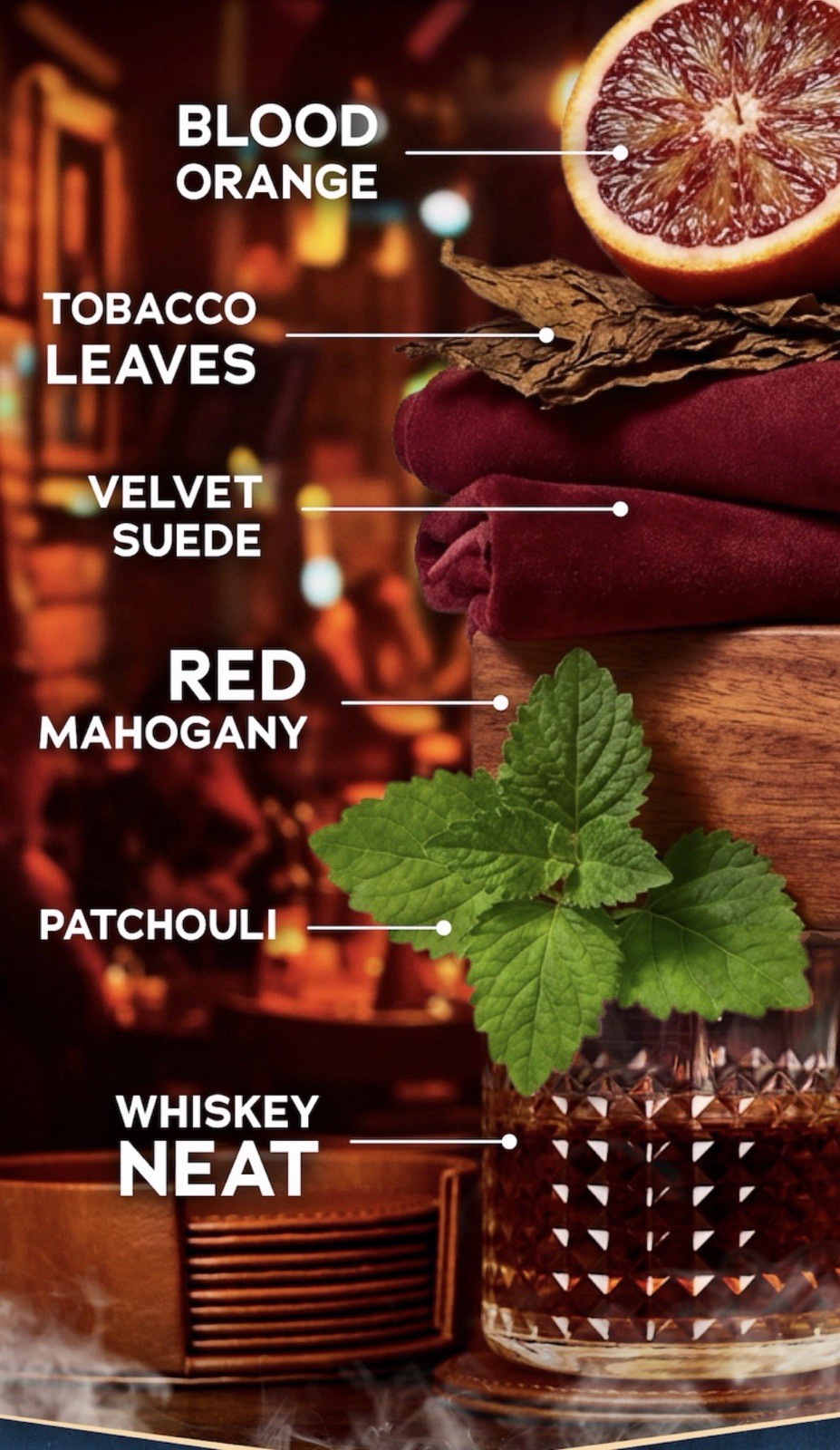 FRIDAY NIGHT ~ Limited Edition, Online Exclusive – Dr Squatch Dr. Squatch 🥃