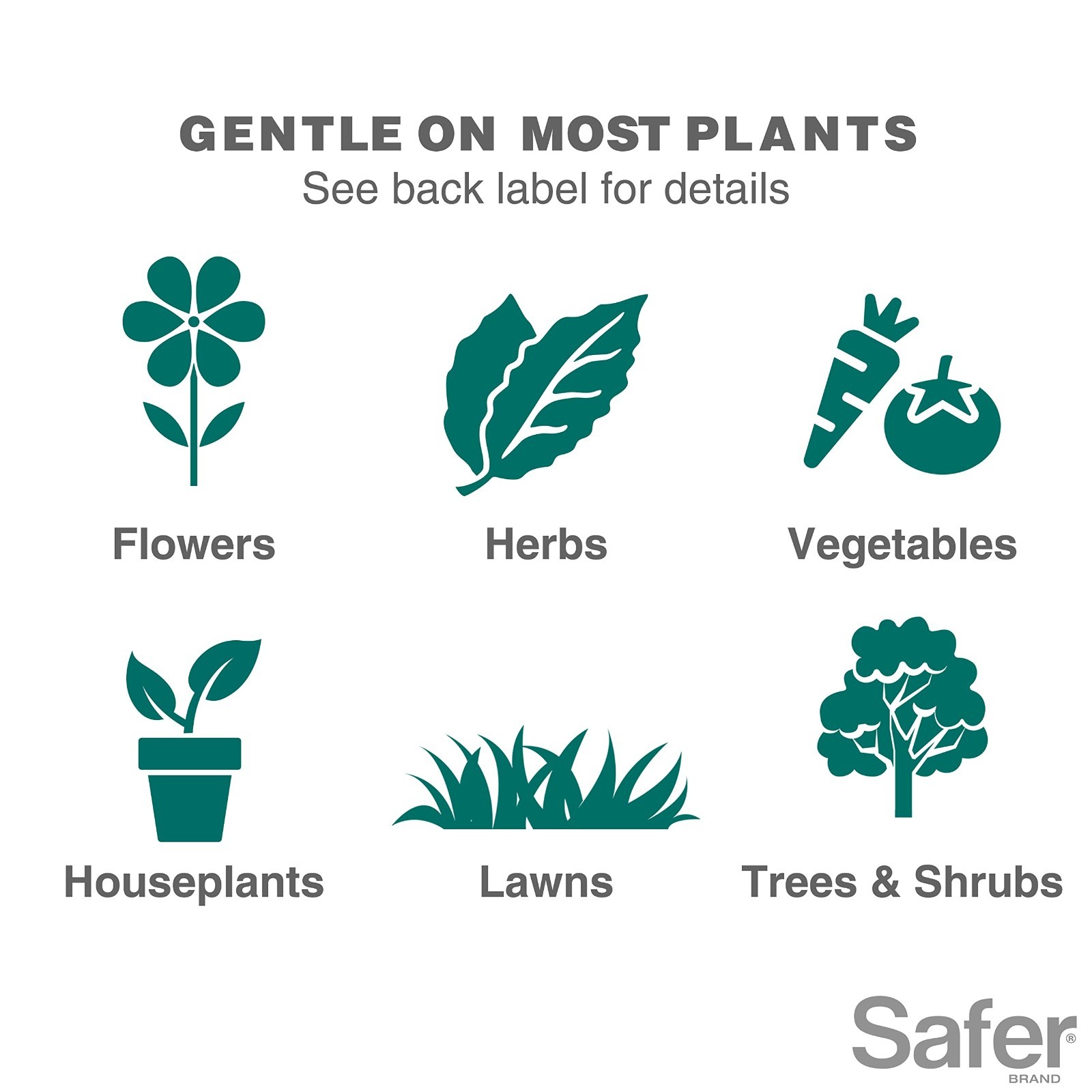 Insecticidal Soap Concentrate for Plants – Kills Aphids, Whiteflies, Mites – Org