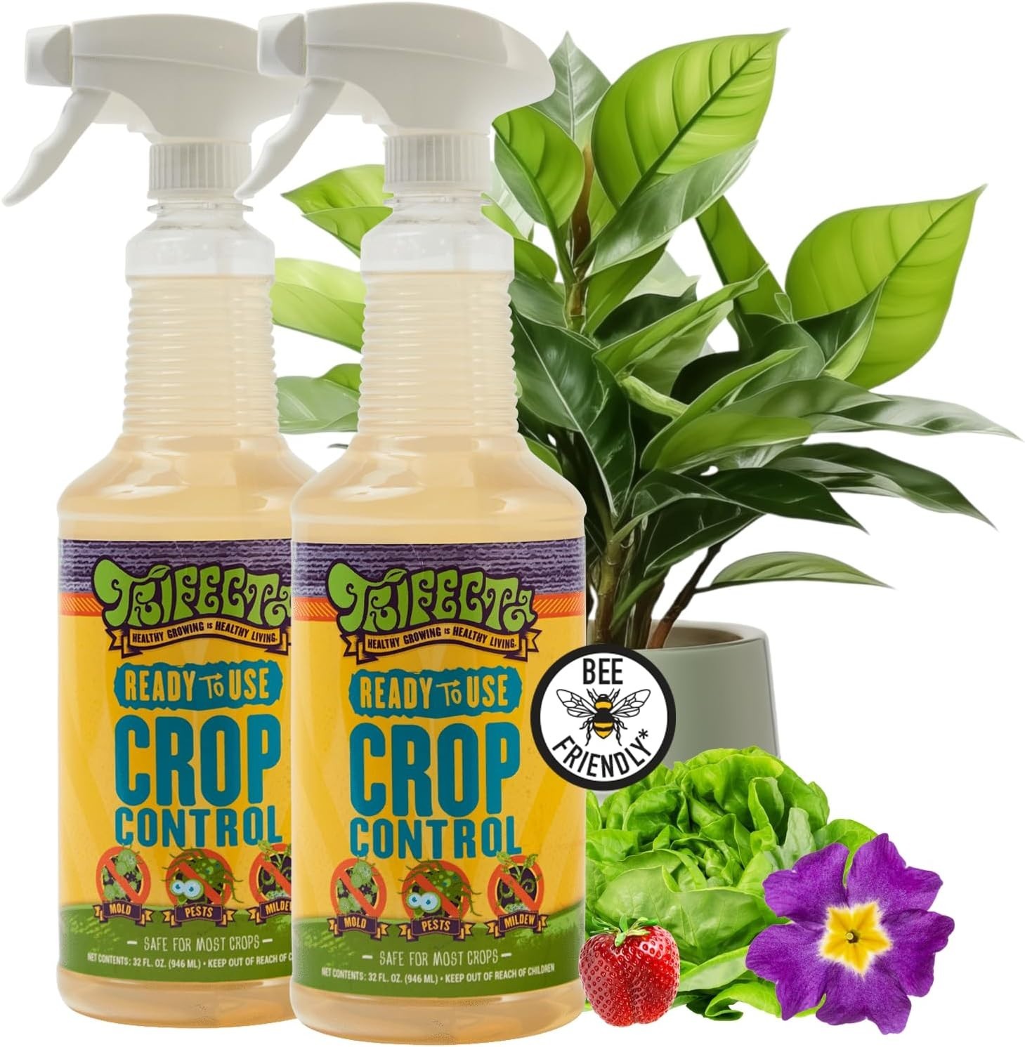 Biodegradable Pest Control Soap – Target Spider Mites & More | 32oz Pack of 2