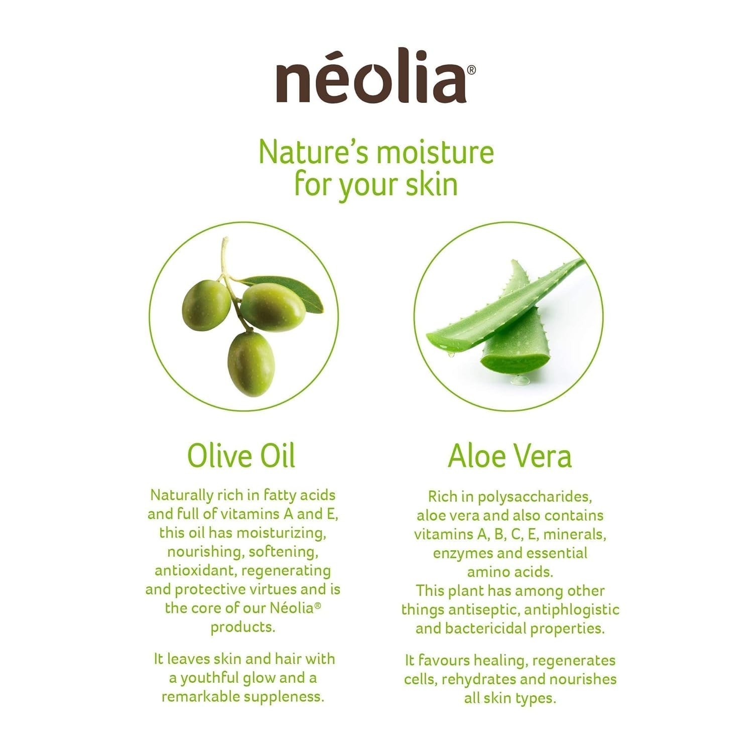 Neolia Olive Oil Soap Bar 8-Pack: Natural Moisturizing Cleanser with Aloe Vera