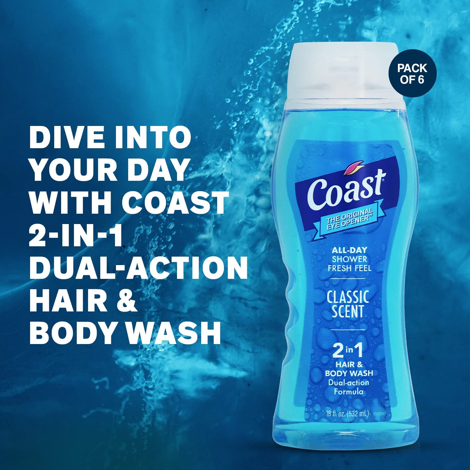 Coast 2-in-1 Hair And Body Wash, Classic Scent 18oz – Pack of 6