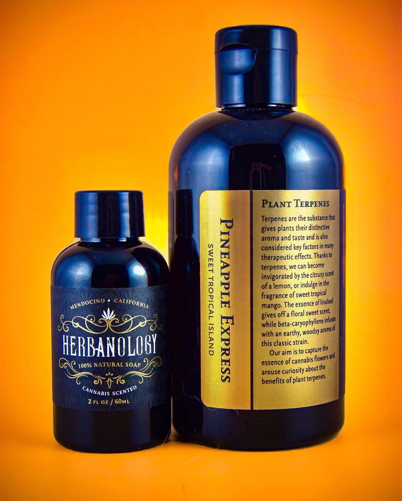 Herbanology 2oz Pineapple Express Organic Liquid Castile All Purpose Soap
