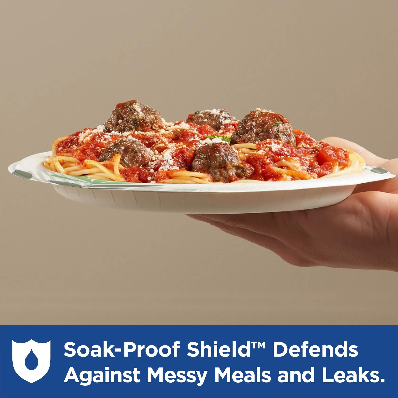 Dixie 8 1/2 Inch Medium-Weight Disposable Paper Plates, Pathways, 300 Count, …