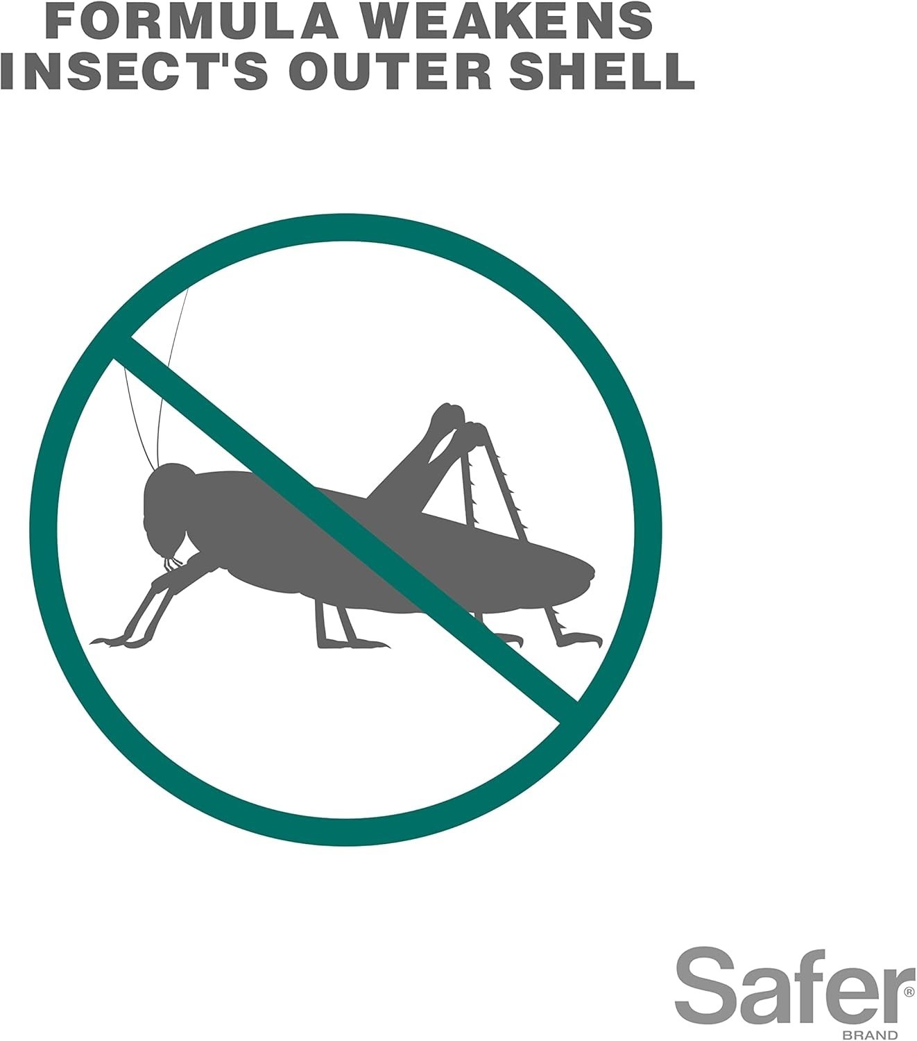 Insect Killing Soap Concentrate – 16 oz OMRI Listed for Plant Protection