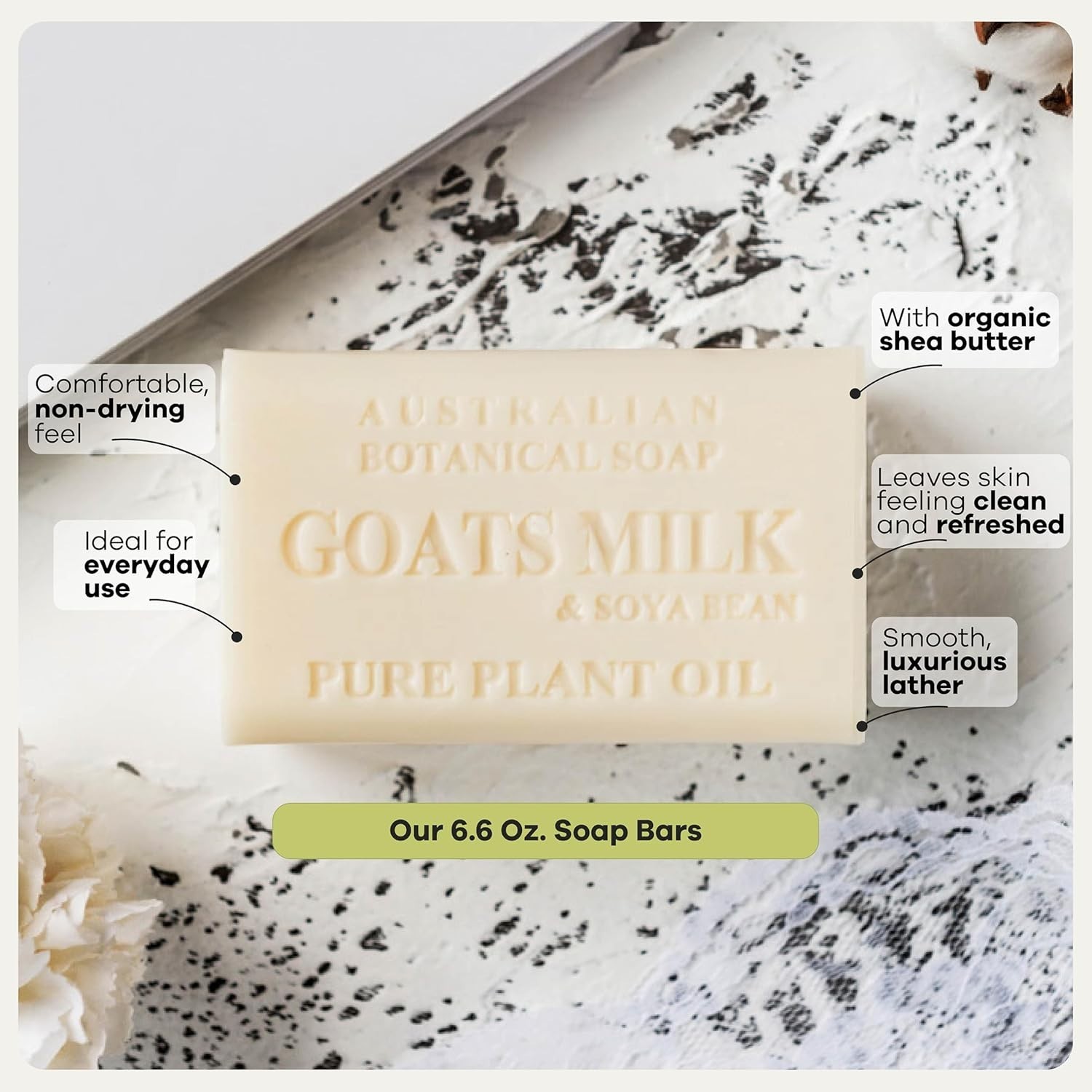 Organic Shea Butter Soap Variety Pack – 8 Large Bars of Fresh Botanical Scents