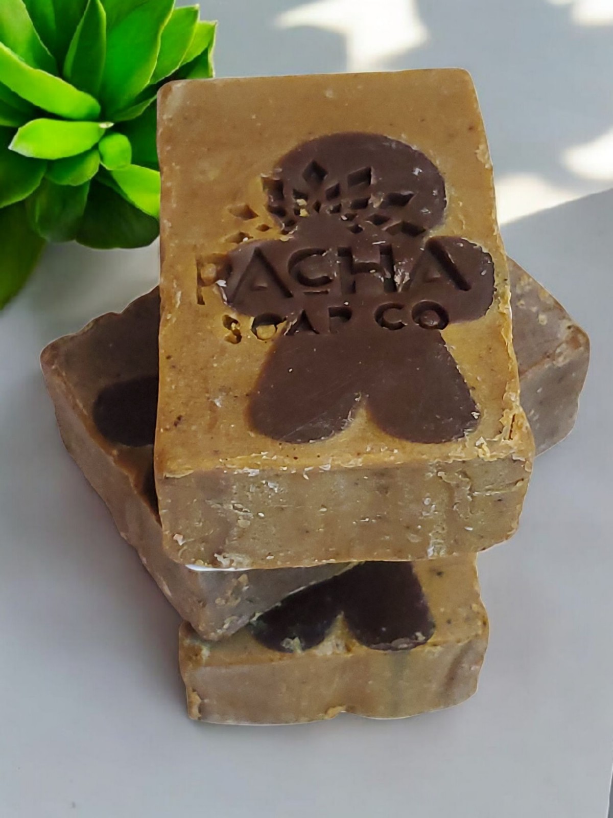 (3) Pacha Bar Soap Limited Edition Sugar & Spice w/ Comforting Vanilla Bean NEW