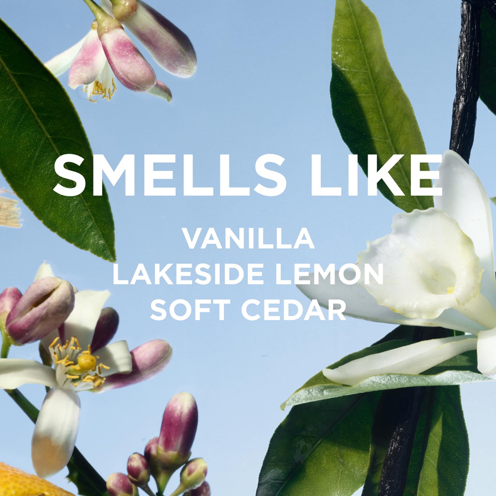Rosie Jane Lake Travel Perfume Spray Women’s Body Mist Vanilla Lemon Cedar 10ml