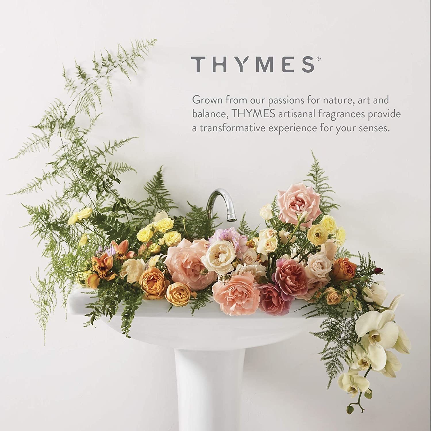 Thymes Eucalyptus Bar Soap – 6 Oz (Pack of 2) 6 Ounce