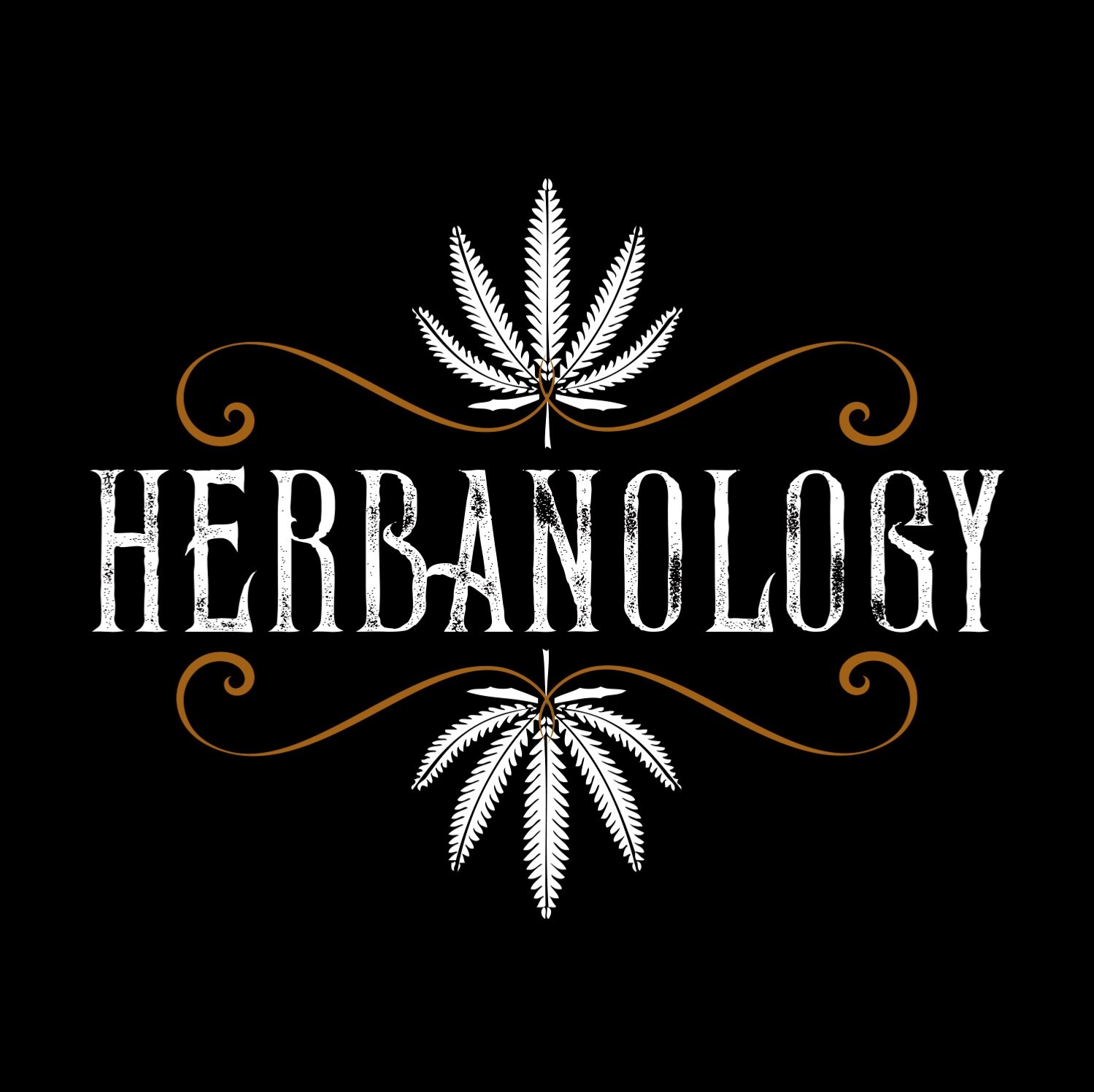 Herbanology 1 Gallon Gelato Organic Liquid Castile All Purpose Soap