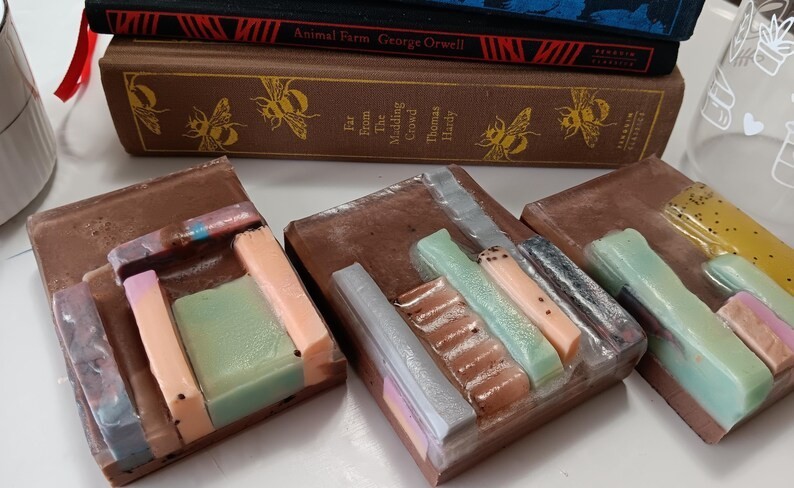 Book Lover Gift Soap Bar | Bookshelf Goat Milk Soap | Teacher Librarian Gift