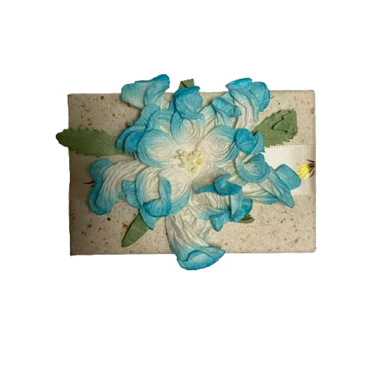 Pure Fiji Handmade Coconut Soap Coconut Infusion
