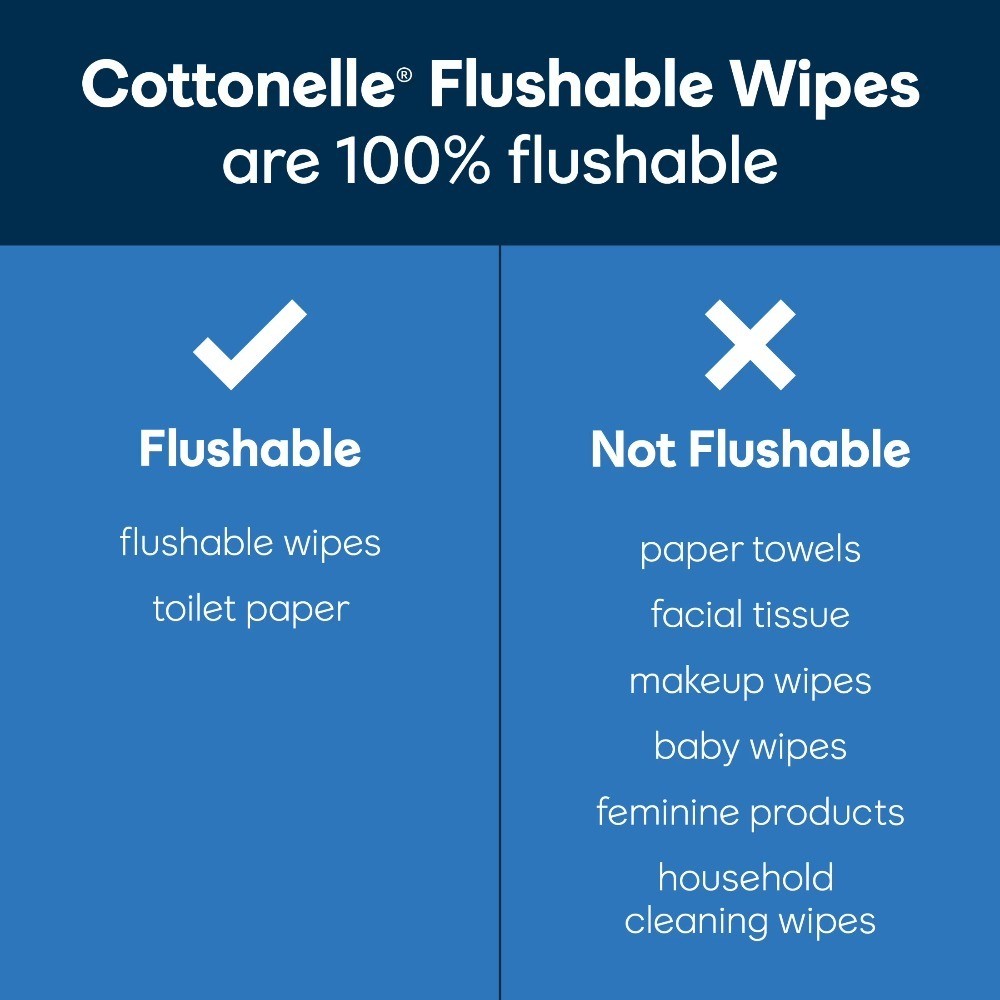 Flushable Wet Wipes Ultra Fresh Scent 2 Packs with Flip Top Lids