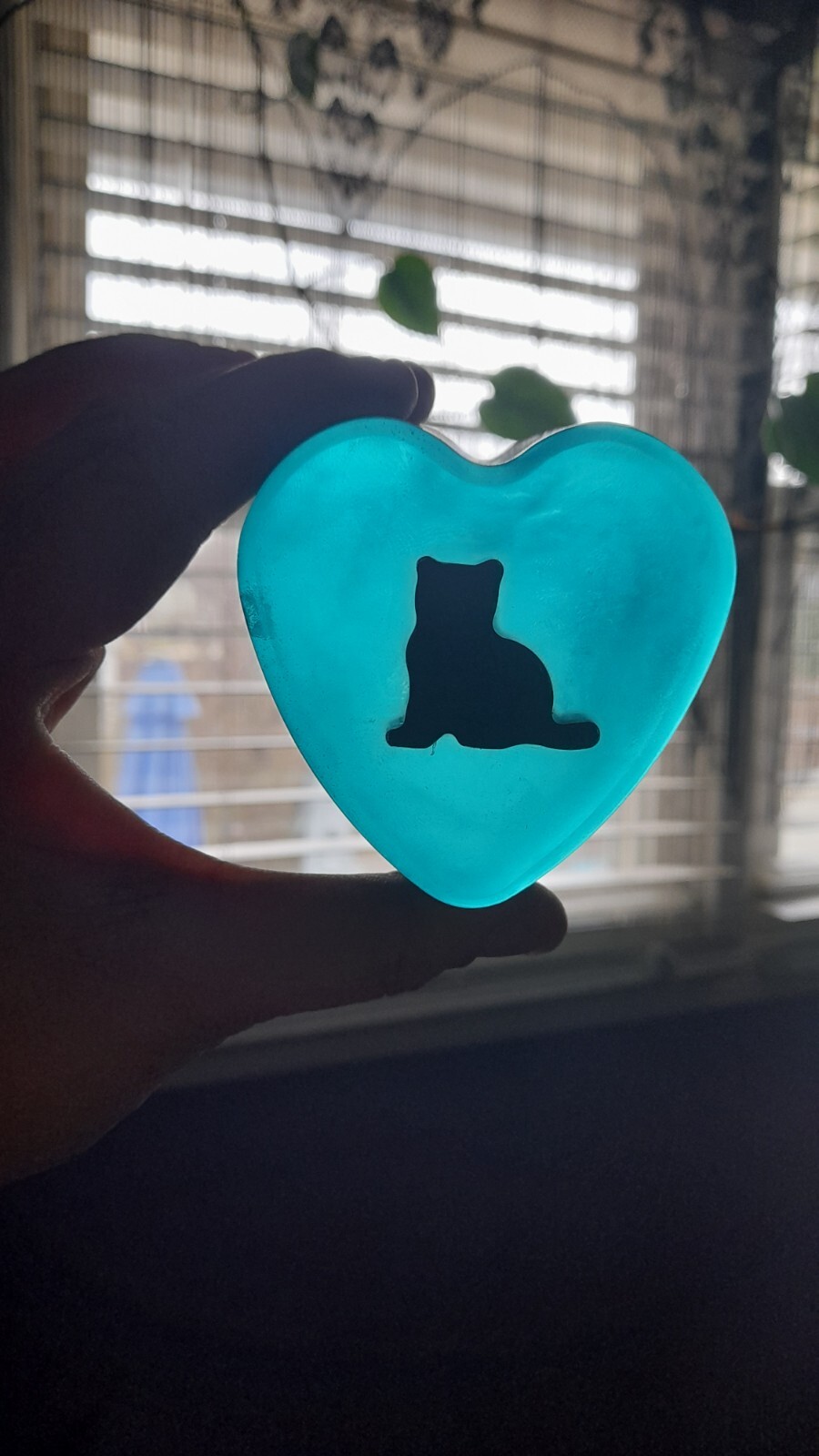 Aloe Glycerin Soap With A Charcoal Kitty All Natural Vegan Cats Kitty Kitten Emo