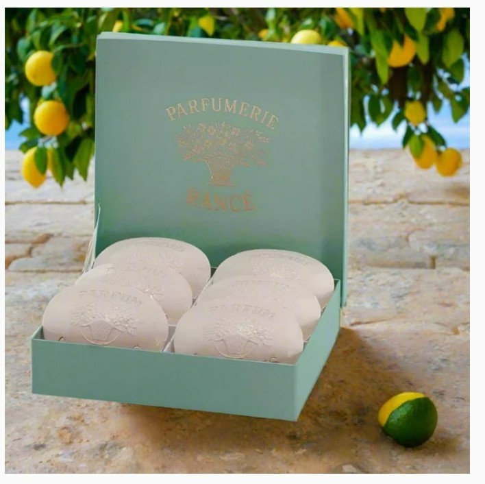 Rance 1795, Corylopsis Coffret, Luxury Boxed Set of 6 French Perfumed Soaps