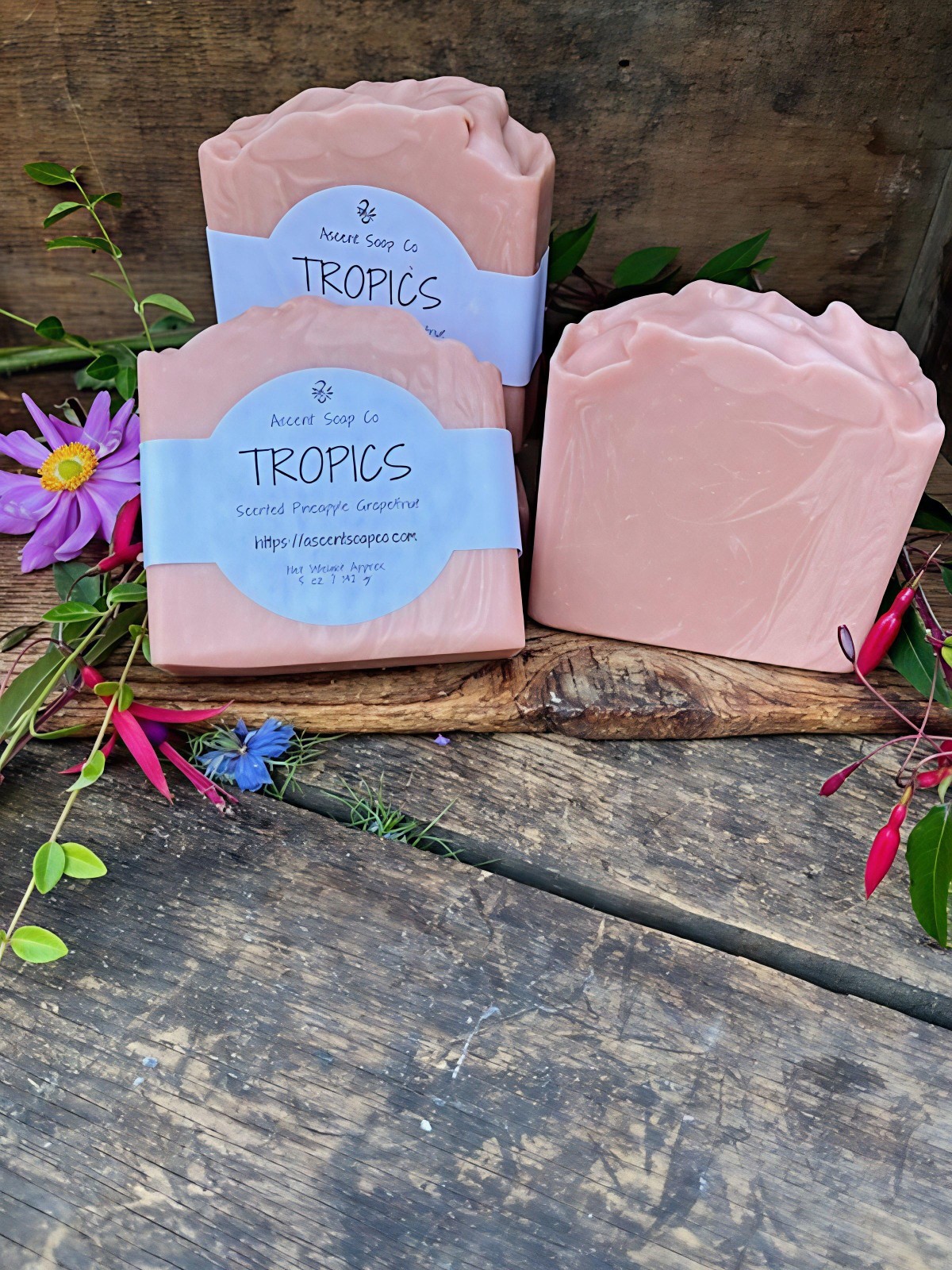 Tropics Handcrafted Artisan Soap from Ascent Soap Co.