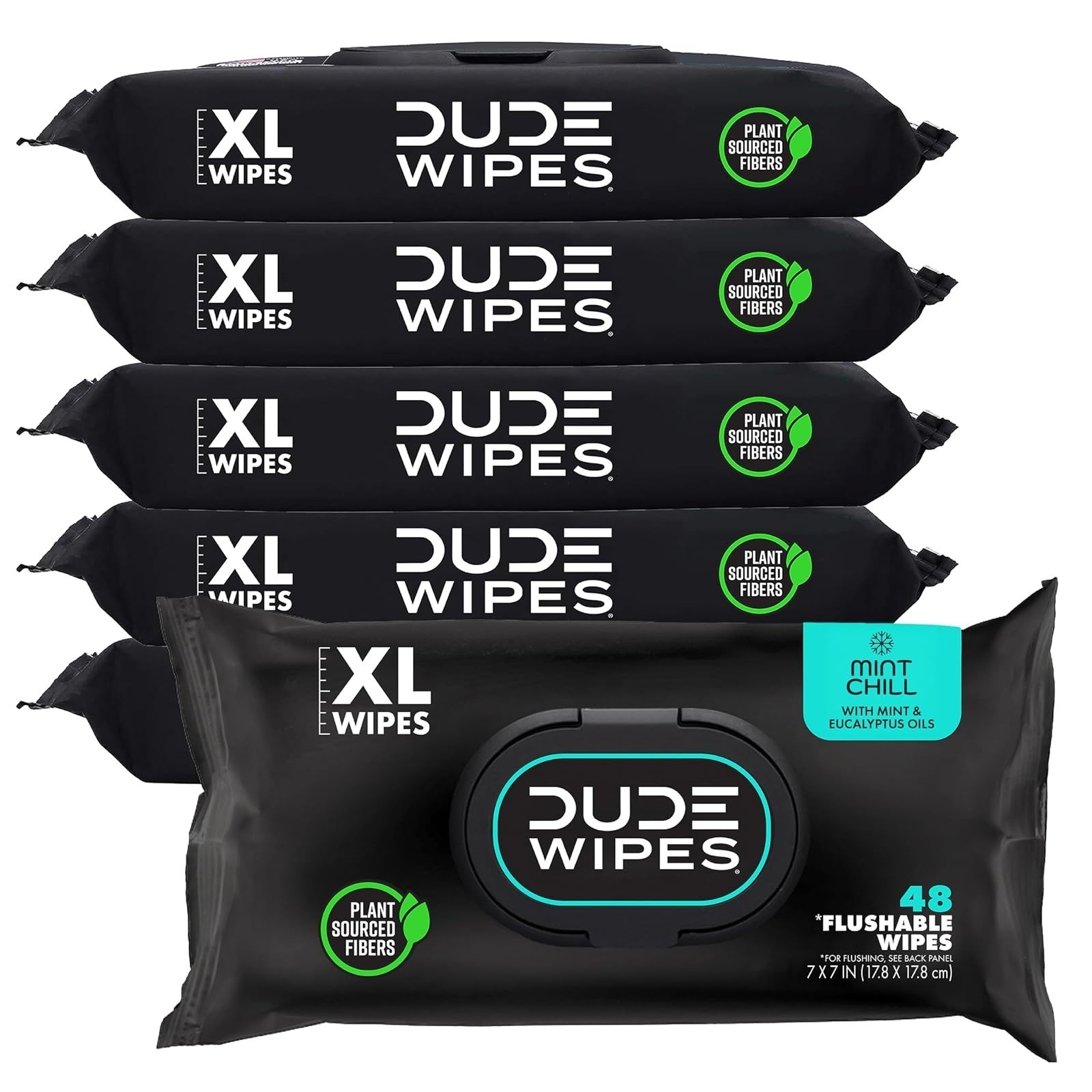 DUDE Wipes Mint Chill Flushable Wet Wipes 48 Count | Refreshing & Gentle