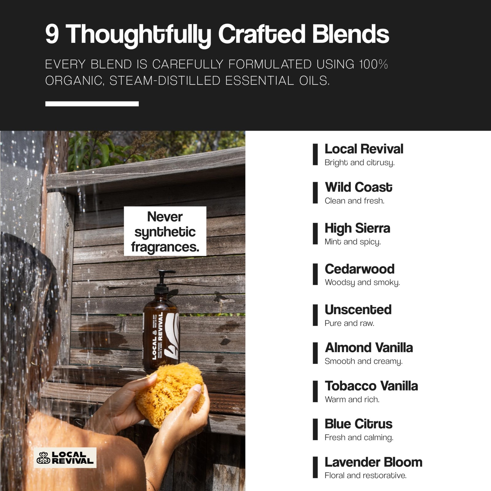 Tallow and Honey Body Wash – Almond Vanilla – Beef Tallow with Honey, Olive O…