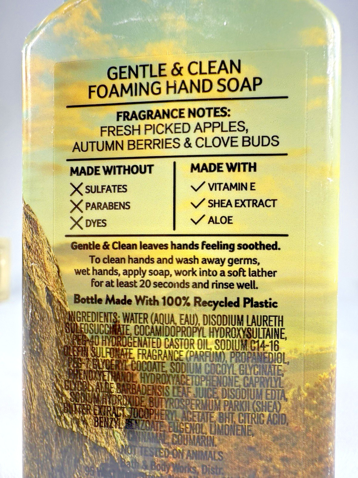 2 Bath & Body Works Harvest Gathering Foaming Hand Soap 8.75 Oz Bath And Body