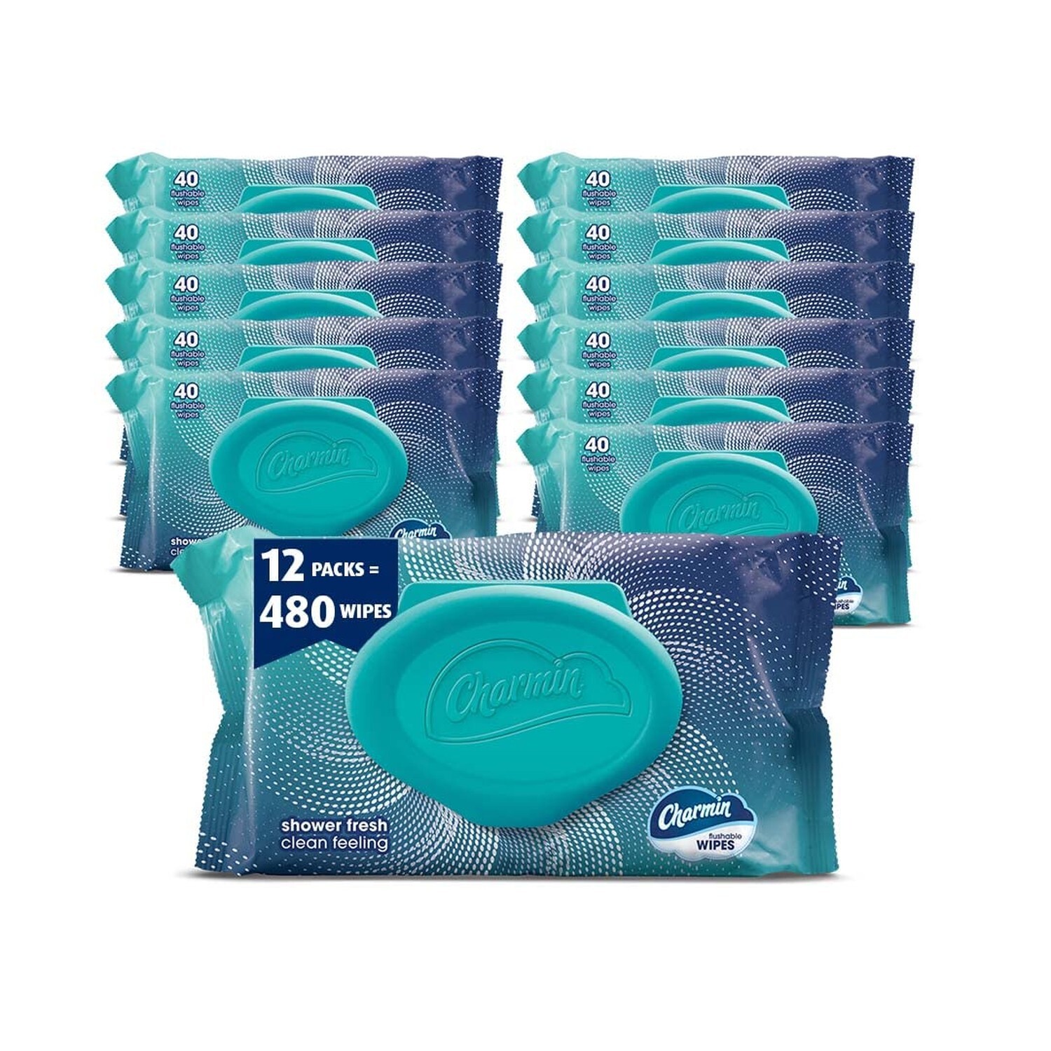 Charmin Flushable Wipes, 12 packs, 40 Flushable Wipes per Pack Wipe
