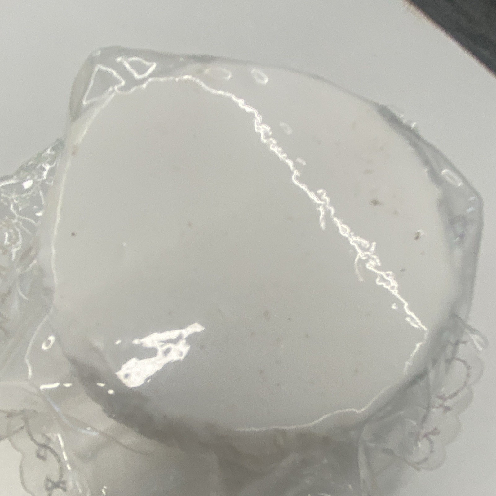 White Disc Body Soap Bar, Solid, Individually Wrapped, for Women Men Teens