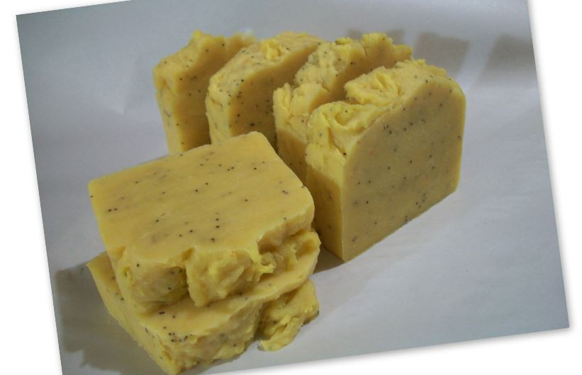 ARGAN OIL SOAP BARS Hibiscus Soap Bars Shea Butter Soap