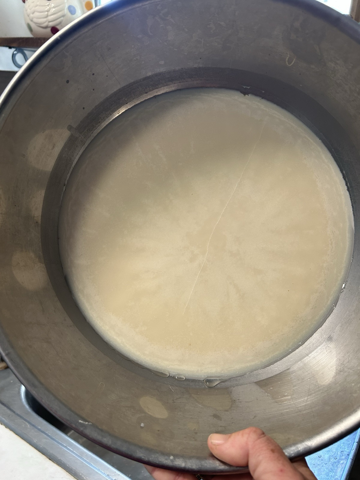 Tallow Soap From Grass Fed Beef Tallow, Non Scented No Fragrance
