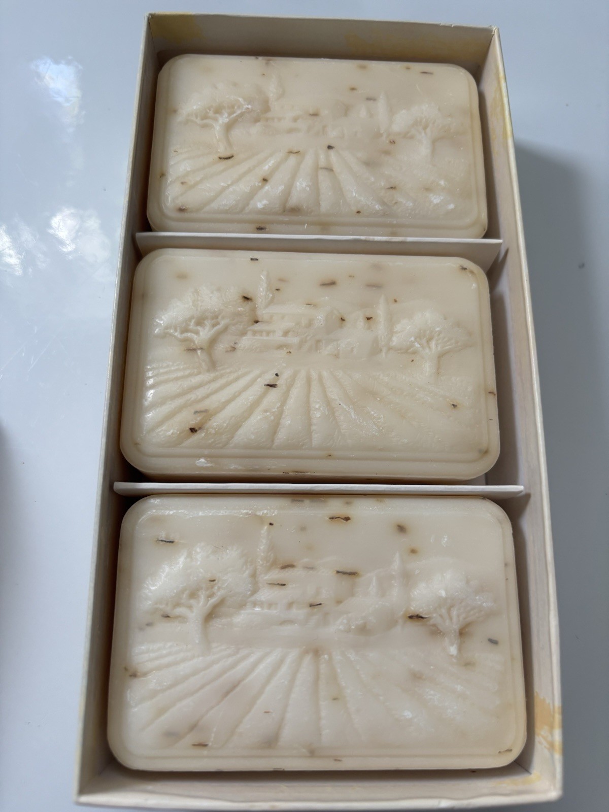 Rosemary Body Bar Soap Set of 3, 7 oz Each, Beige, Rectangular, Made in France