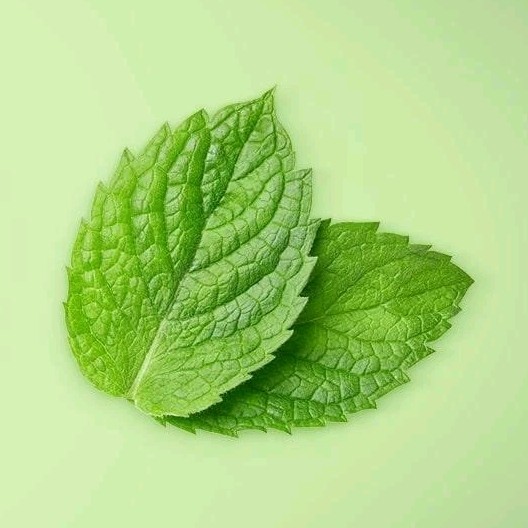 NEW! OLAY (3-BARS) 4 Oz. Bars ●COOLING WHITE STRAWBERRY/MINT● Fresh Outlast.