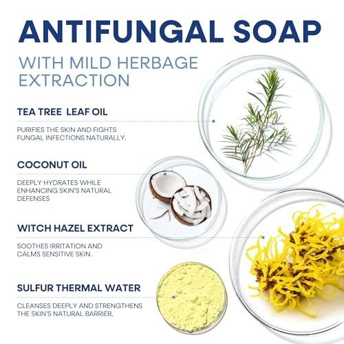 Antifungal Bar Soap Tea Tree Oil Ringworm Jock Itch Athletes Foot 2 Bars
