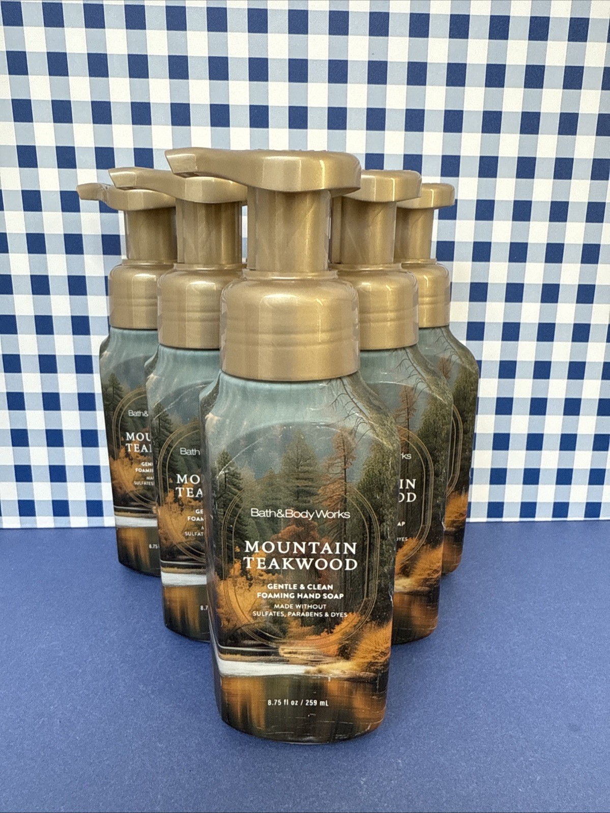 6X ~ Bath Body Works ~ MOUNTAIN TEAKWOOD ~ Gentle Foaming Hand Soap ~ READ!