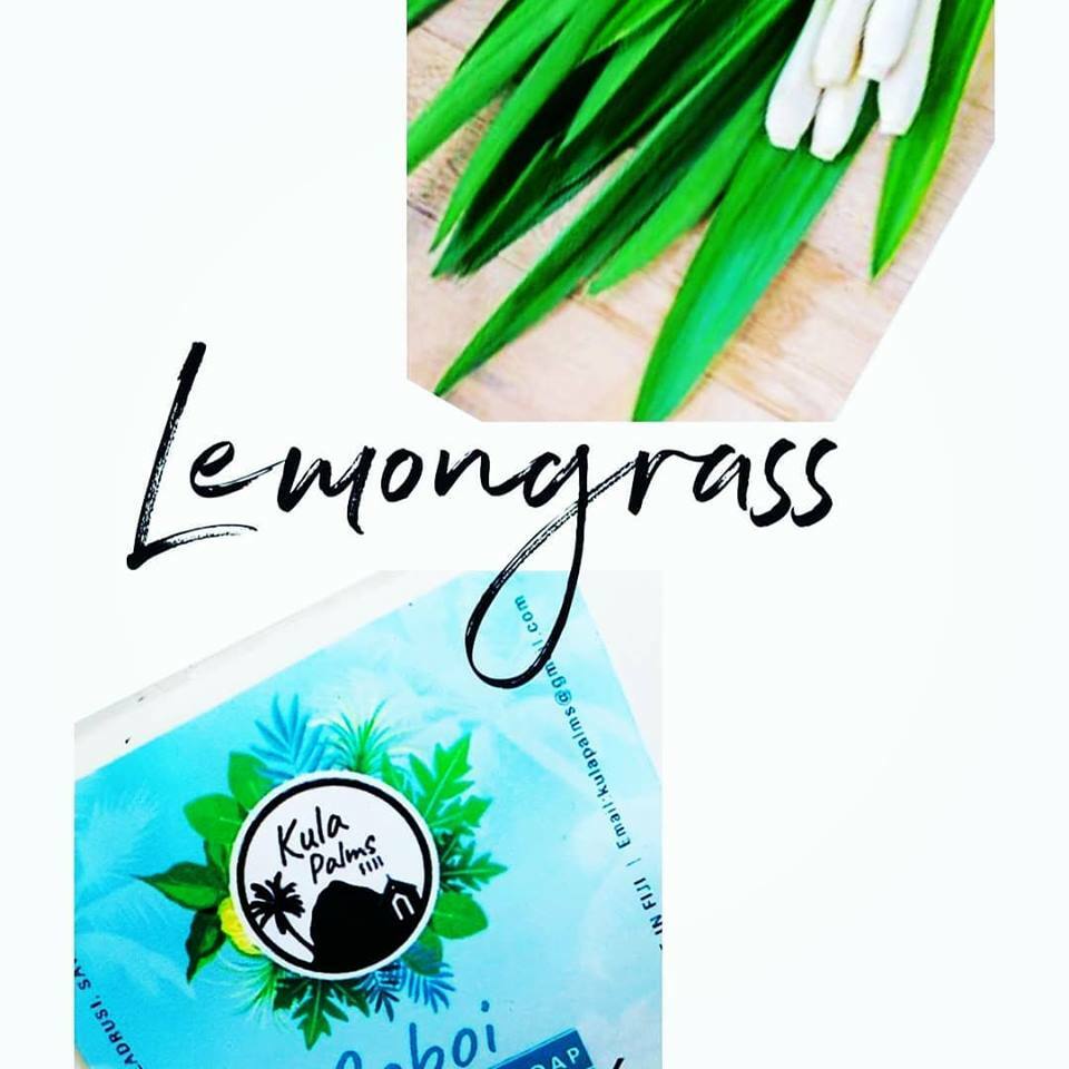 Lemongrass Mega Soap Bar (Co-Boi) – All Natural Coconut Oil Organic Skincare