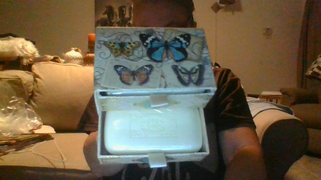 NICE!! Savon au The Vert 2 Green Tea Soaps in Keepsake Butterfly Box-GREAT GIFT!