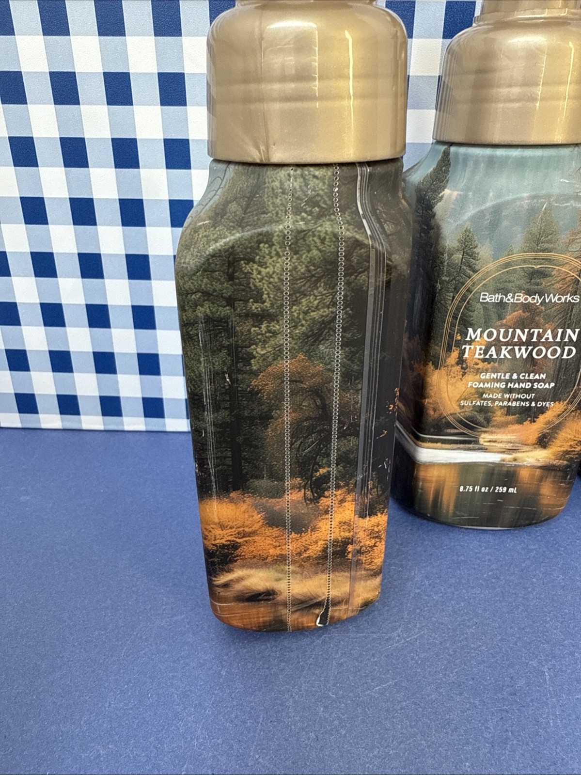 6X ~ Bath Body Works ~ MOUNTAIN TEAKWOOD ~ Gentle Foaming Hand Soap ~ READ!