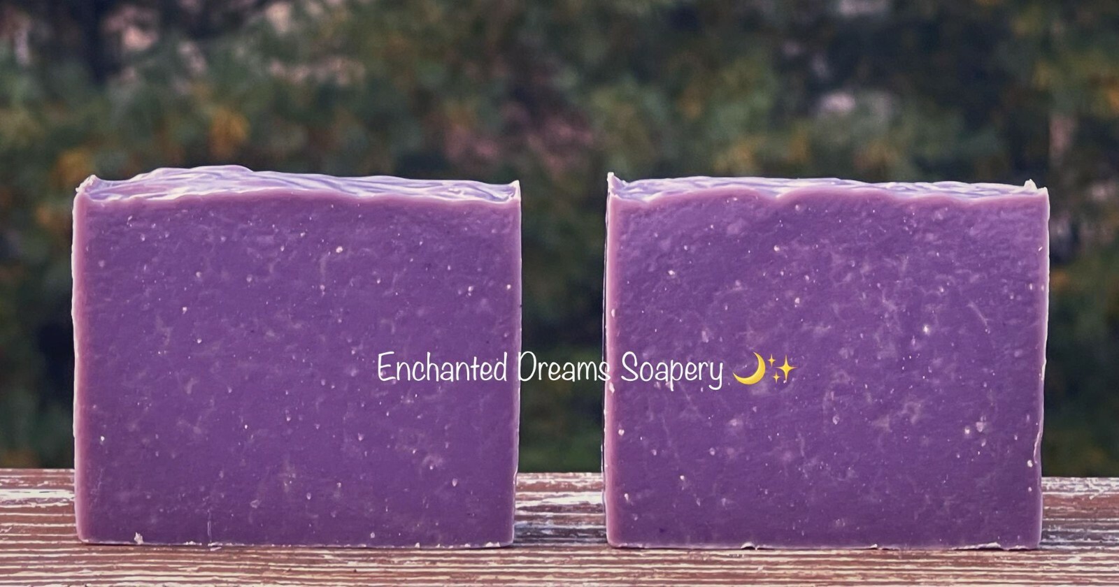 Elderberry Infused Purple Sea Moss Cold Process Soap @ Enchanted Dreams Soapery