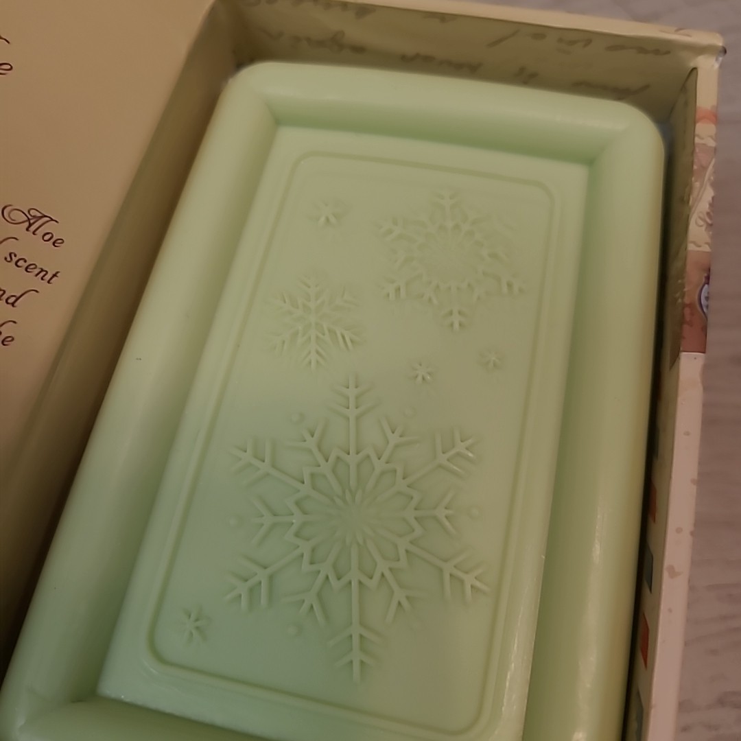 Eucalyptus & Aloe 12 oz Moisturizing Bath Bar Christmas Holiday Gift Box NEW