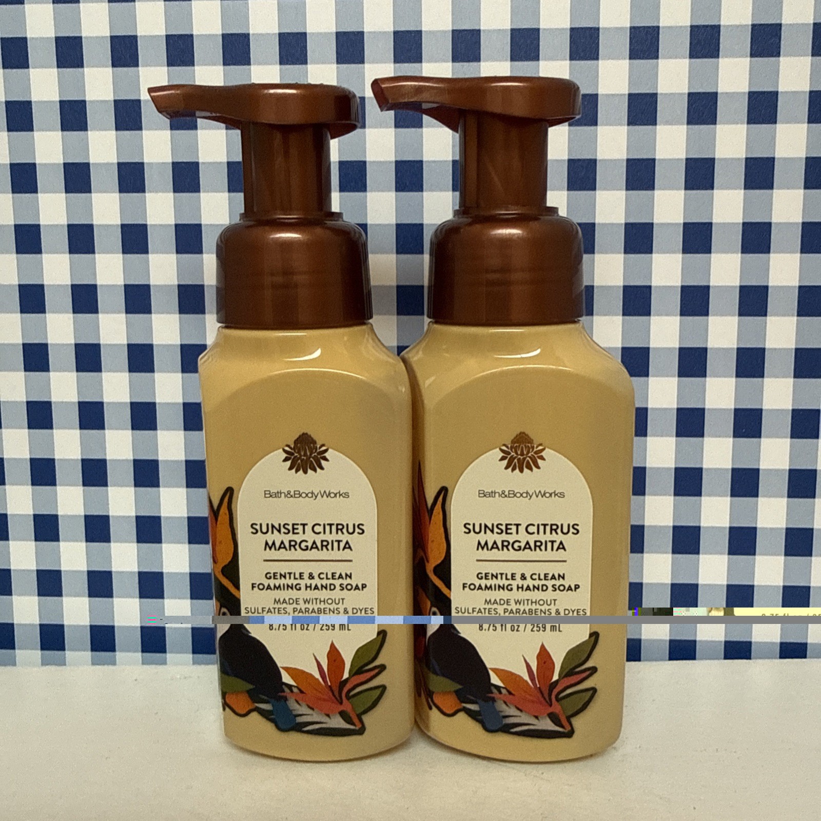 2X ~ Bath & Body Works ~ SUNSET CITRUS MARGARITA ~ Gentle Foaming Hand Soap