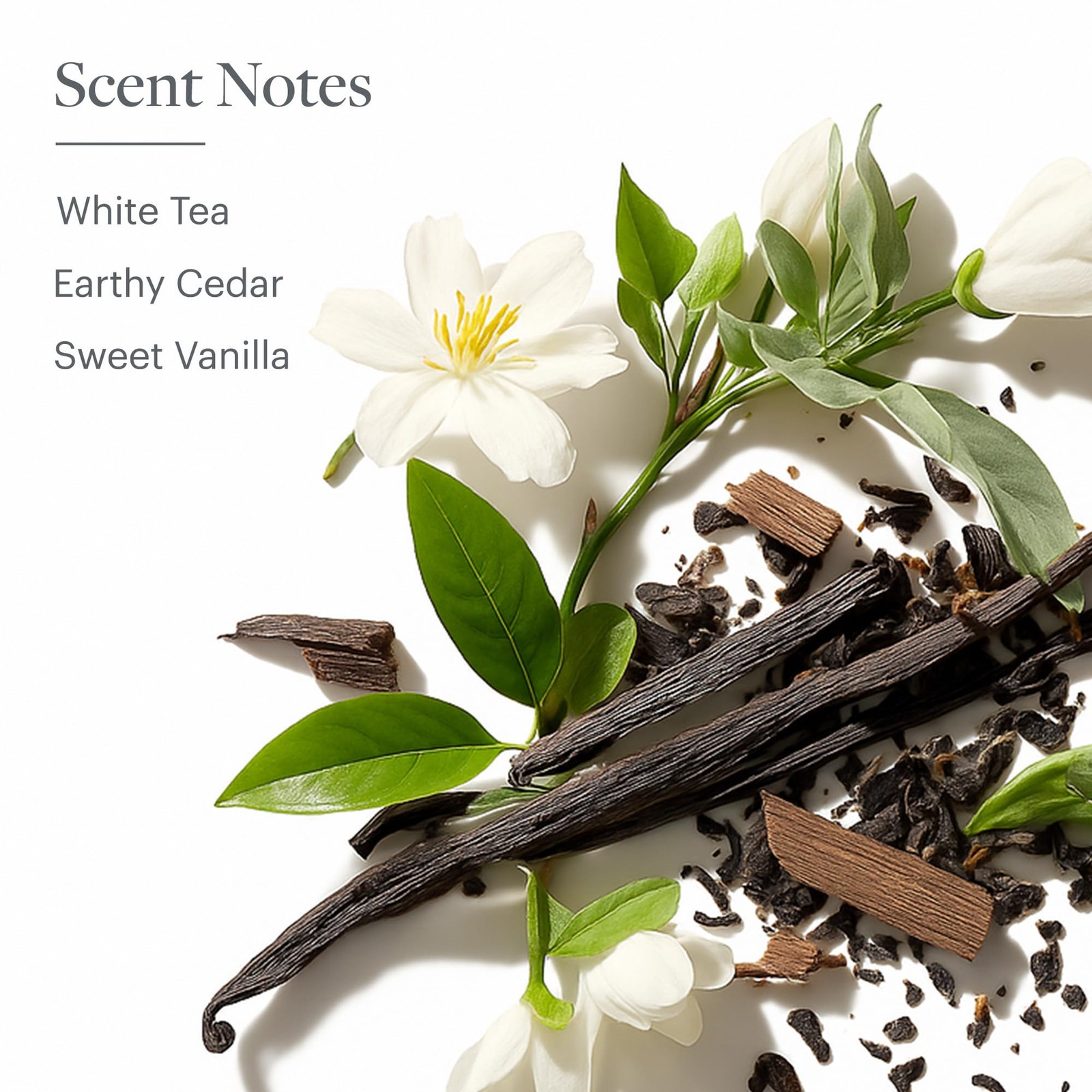 White Tea Leaf Soap Nourishing Bars of with Signature Aloe Scent Individually