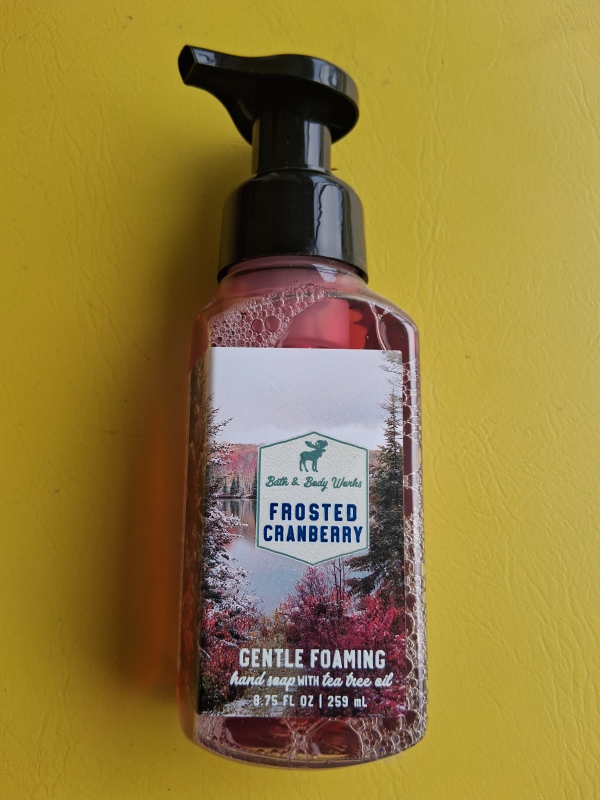 1 Bath & Body Works FROSTED CRANBERRY Gentle Foaming Hand Soap Wash