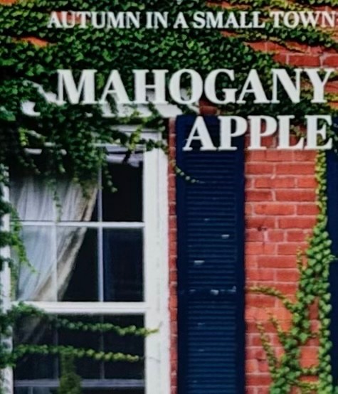 1 NEW BATH & BODY WORKS MAHOGANY APPLE GENTLE CLEAN FOAMING HAND SOAP WASH PUMP