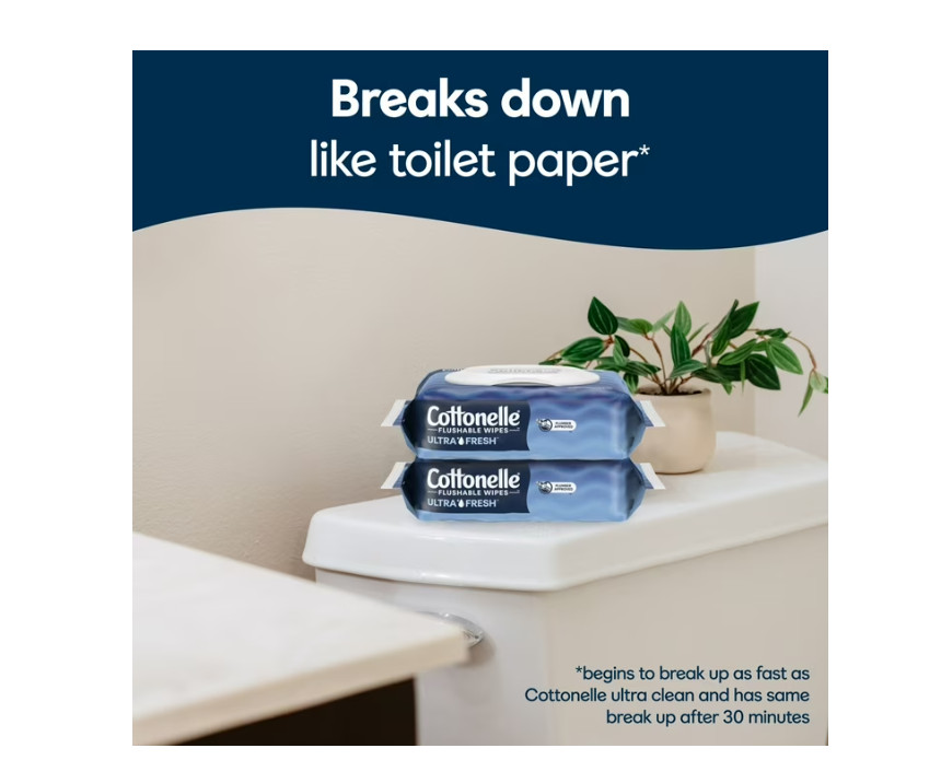 3 PACK Ultra Fresh Flushable Wet Wipes, 4 Flip-Top Packs (168 Total Flushab