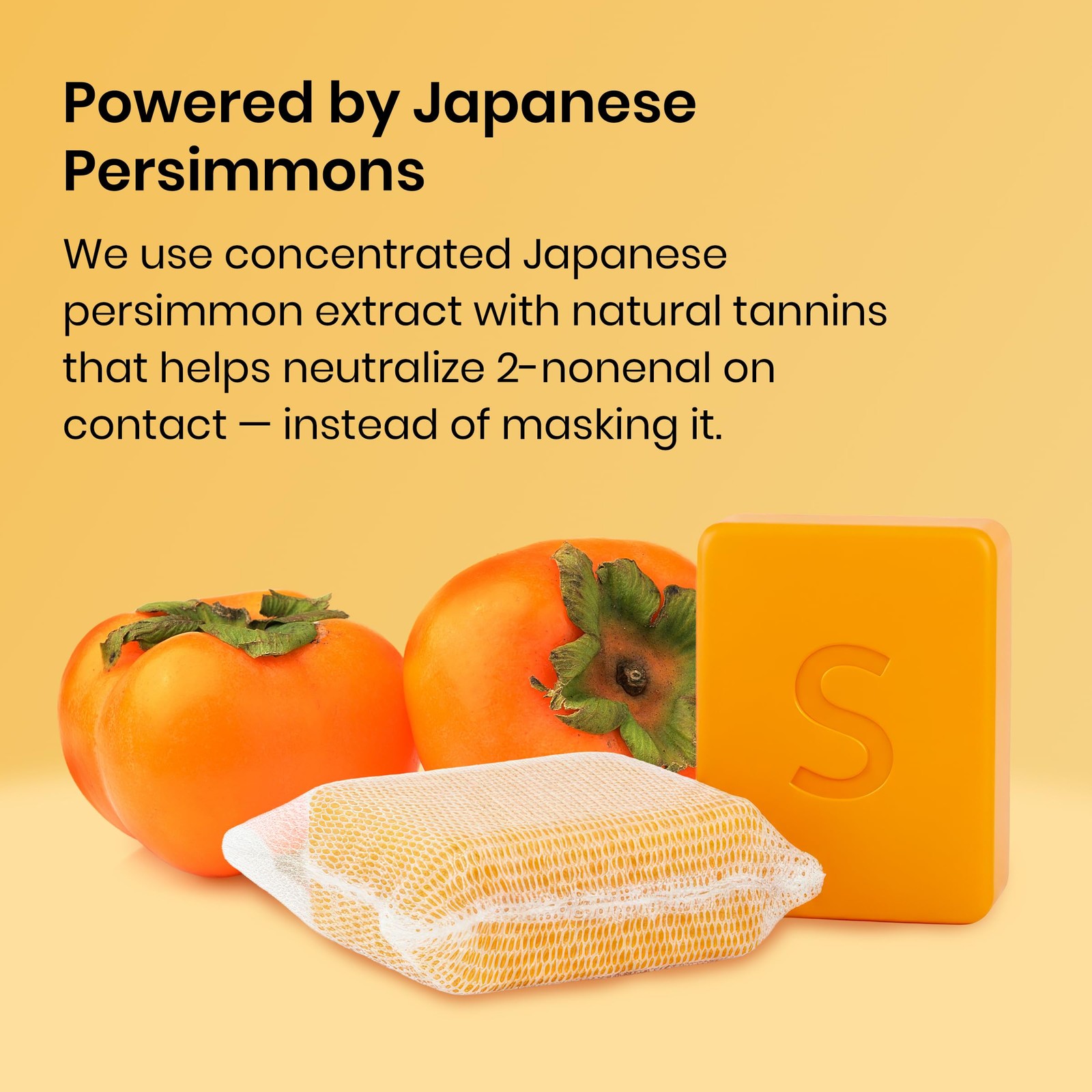 Cleanser Bar Persimmon Japanese 2 Pk Natural Antibacterial Organic Formula