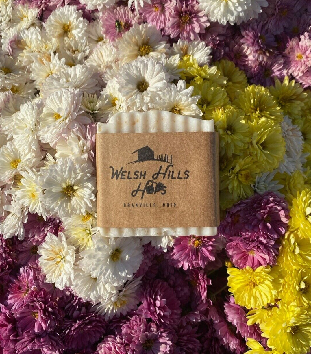 Hops Soap- Welsh Hills Hops Soap, Beer Soap, Sensitive Skin, Homemade Artisan